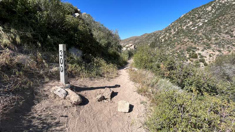 Mile marker 300 on the PCT